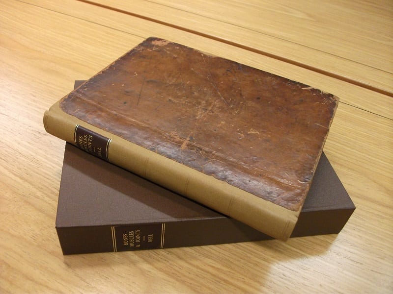 Book after conservation showing new spine and slip case.