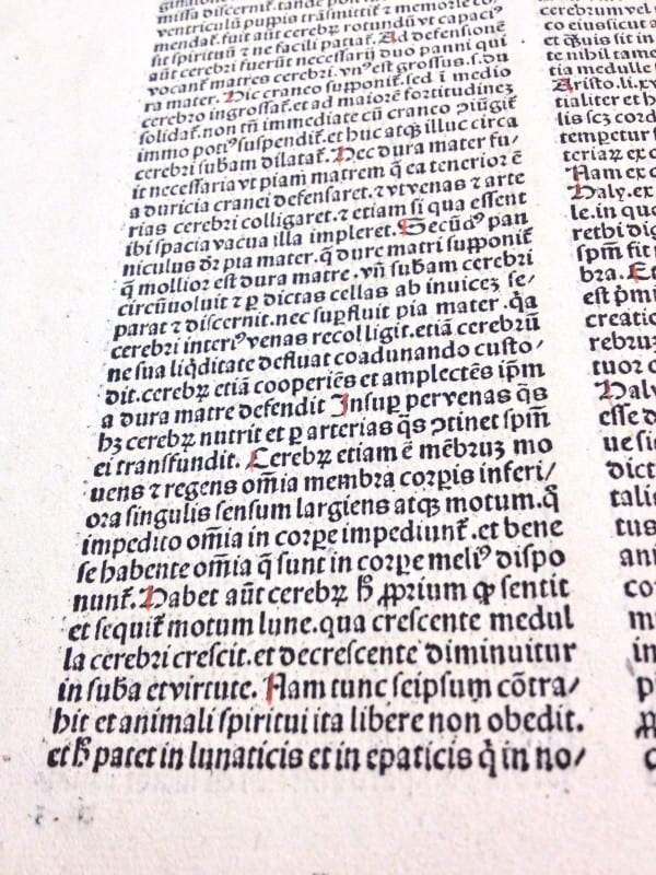 Book V, Chapter III from "De proprietatibus rerum" (1490)