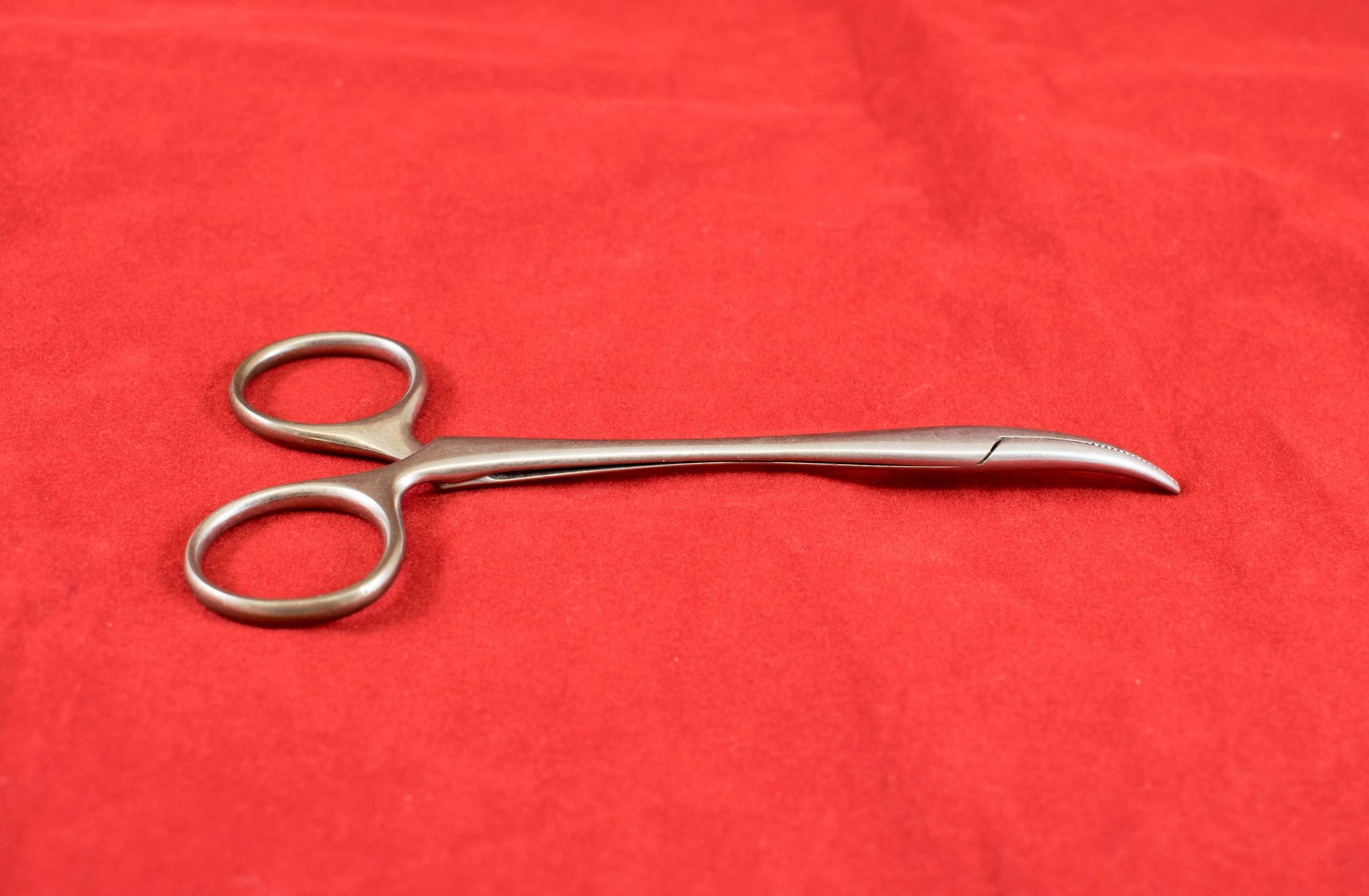 2003.2.13_halstead artery forceps